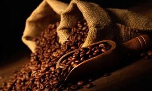 咖啡豆行业现状分析及前景投资 预计到2025年产业规模可达3693亿元