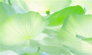 数字贸易行业发展现状：中国数字贸易正保持良好势头，蓬勃发展