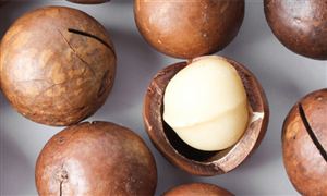 夏威夷果行业市场发展分析：夏威夷果市场前景广阔