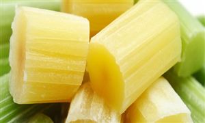 甘蔗行业市场机遇深度分析2023