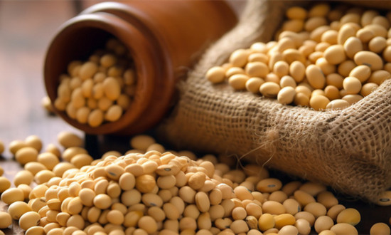 美国豆粕出口预测呈上升趋势 豆粕行业市场态势分析