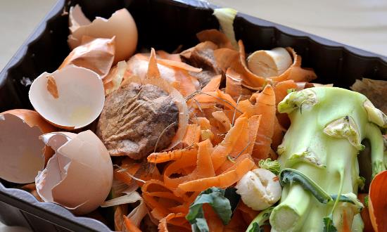 餐厨垃圾处理潜在需求旺盛 餐厨垃圾处理行业新模式及潜力分析