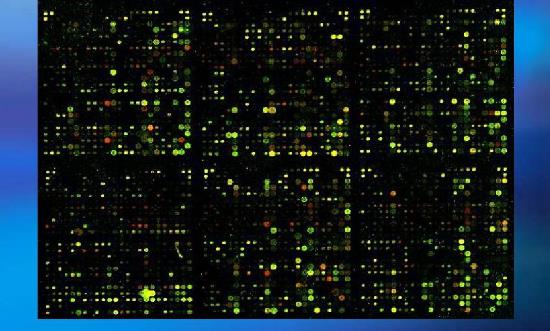 基因芯片行业市场调查与及未来研究方向