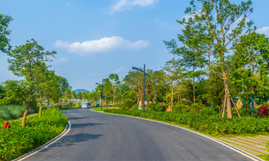 2023年道路绿化工程行业市场研究分析