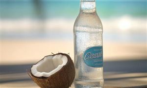 椰子水市场现状及发展趋势调查分析2024