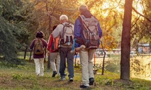 2023老年旅游行业市场现状及供需关系分析