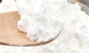 玉米淀粉市场需求分析及现状调查2023