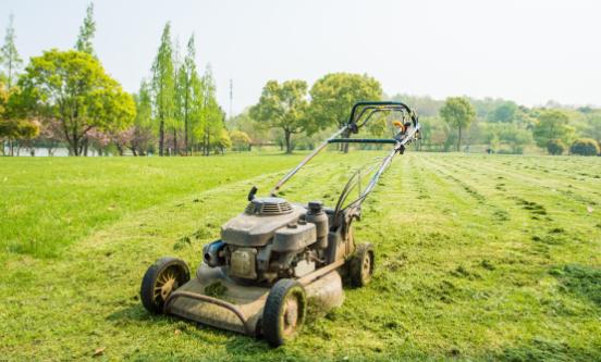 2023割草机市场格局分析：海外巨头占据较大份额 国内厂商快速崛起