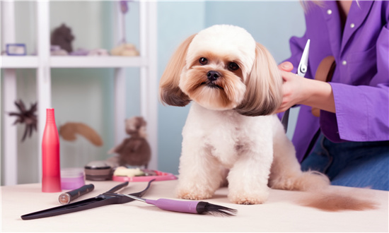 宠物护理用品需求分析 宠物护理用品企业发展现状分析