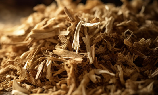 生物质燃料行业市场深度分析及未来发展潜力