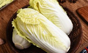 大白菜批发价同比降近50% 大白菜行业市场现状分析