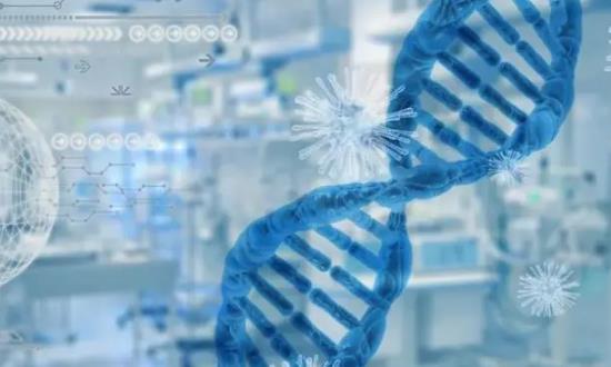 积极推进基因技术、合成生物等未来产业布局 基因测序产业前景研究