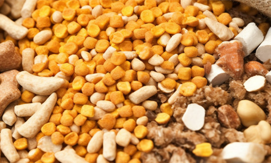 猪饲料行业市场供需格局及现状趋势分析2023