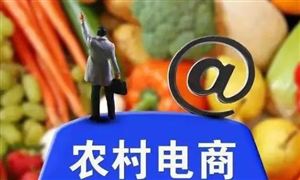 中国农村电商行业深度剖析与投资