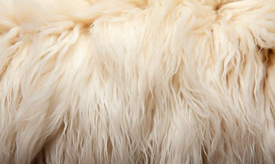 2023羊毛市场深度调研 羊毛行业进出口市场分析