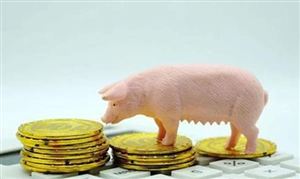 2023猪肉深加工行业发展前景与机遇：预计四季度猪价季节性回暖 