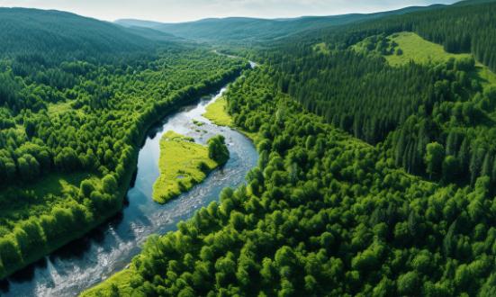 森林防火行业市场现状深度调研分析2023