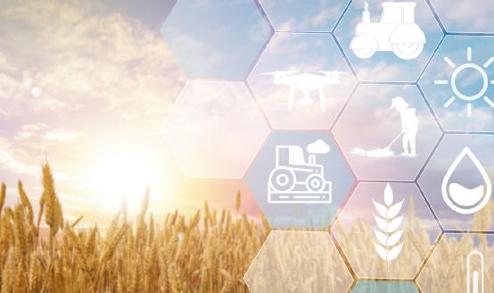 粮食仓储行业全景调研报告