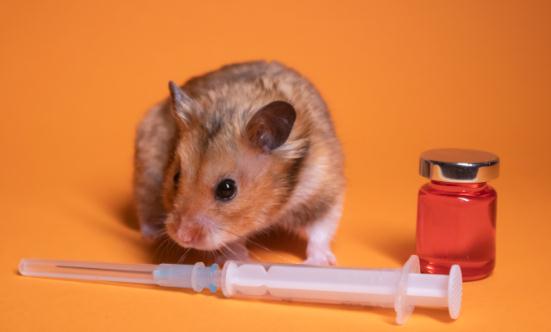 中兽药行业市场规模及发展现状分析2023