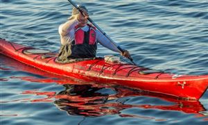 水上运动行业市场前瞻与未来投资战略2024