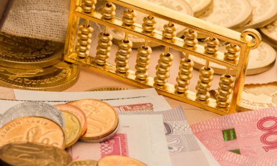 社保信息化行业市场前瞻与未来投资战略2024