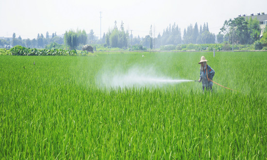 生物农药行业市场机遇分析 生物农药+化学农药引领植保市场未来