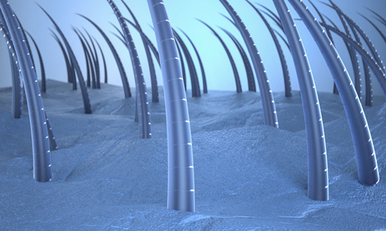 行业深观察 2023护发素产品发展机遇及趋势深度分析