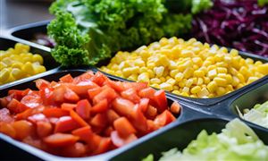 2023素食食品市场发展现状：素食预制菜前景广阔