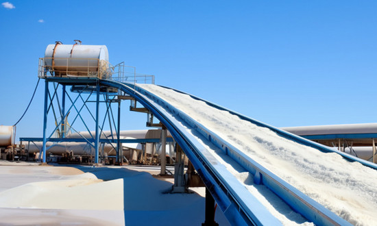 工业盐市场发展现状及未来趋势预测分析