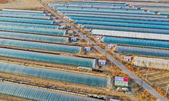 2023—2030年设施农业建设规划：引导设施种植适度向山区和戈壁、沙漠等非耕地转移