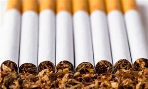 烟草行业市场调研及发展趋势分析2024