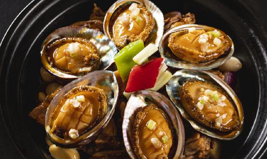 鲍鱼养殖行业现状调研及发展前景分析