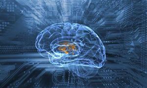 马斯克脑机接口项目受追捧 有望成为人机交互新方式 脑科学与类脑研究市场分析