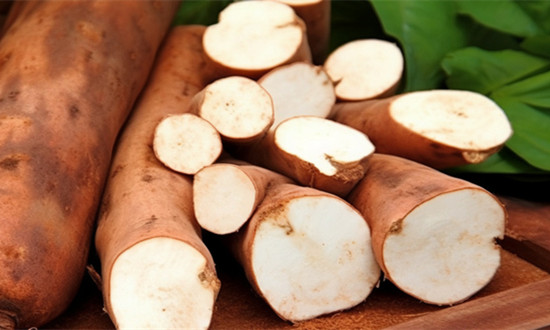 木薯行业种植面积、产量及发展现状分析