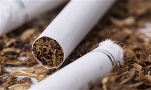 烟草行业趋势预测：节能、智能和可持续发展烟草行业的发展趋势