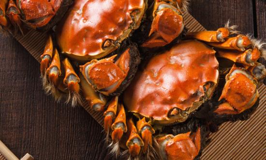 大闸蟹跌出“白菜价” 大闸蟹行业发展态势