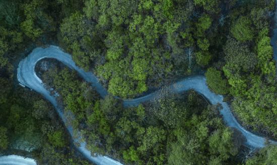 《计划》明确国内旅游市场对促进消费、推动经济增长的作用更加突出