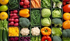 我国首次发布 将陆续发布重点蔬菜品种的产业地图 蔬菜种植行业分析