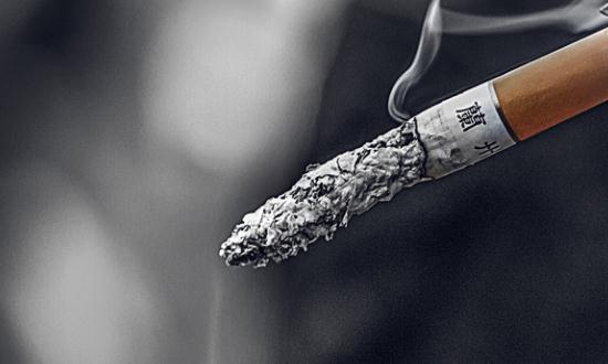 烤烟市场需求与趋向分析2024