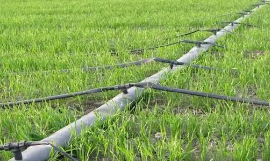 2023滴灌带行业发展现状分析及市场需求