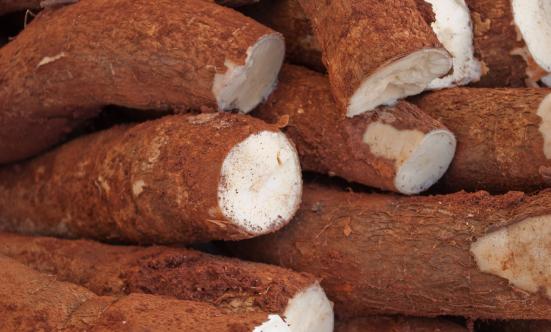 木薯行业报告 木薯行业发展现状及需求分析