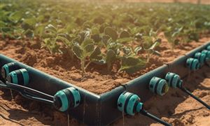 滴灌带行业市场需求分析及未来趋势展望