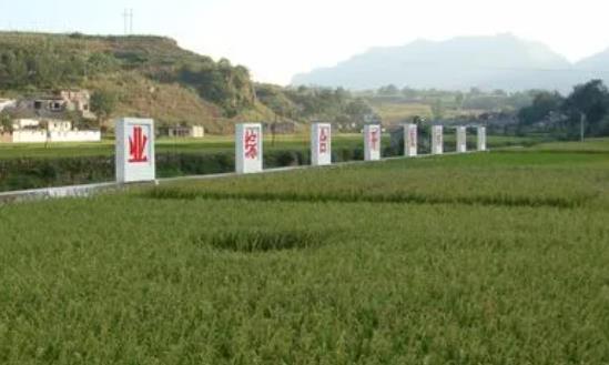 综合农业行业发展分析2024：力争到2027年农民收入达到2.79万元左右