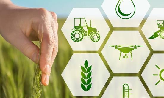 行业洞察2024：智慧农业为精准扶贫带来诸多机遇