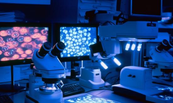 2024年中国精密光学仪器市场发展现状调查分析