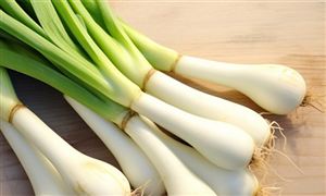 全国大葱种植面积达850万亩 大葱产品行业市场需求分析