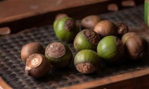 中国槟榔市场深度全景调研分析2024