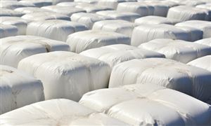 BOPP薄膜行业市场基本情况及发展趋势分析