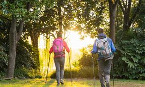 2024户外运动市场发展潜力与前景分析调查