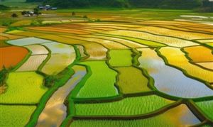 小型农机具行业分析：高端、智能农机是未来我国农机企业必争的战略要地